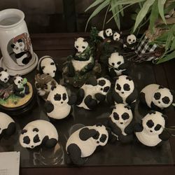 Panda Owls
