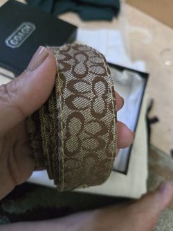 Belt