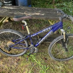 Two Ten  Speed Bikes,dark Green and blue