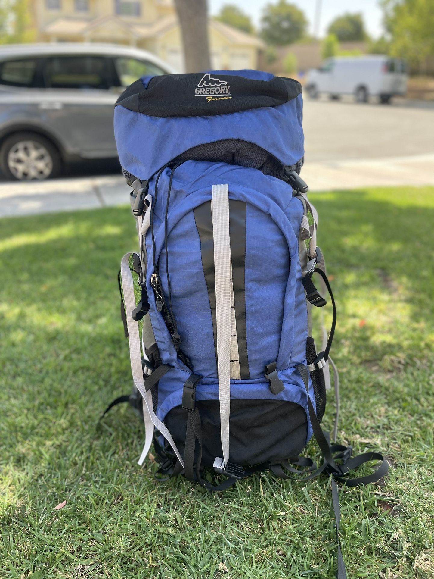 Backpack Travel Gregory Forester!