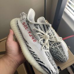 Yeezy 350 Zebra Size 10
