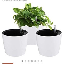 Flower pot set