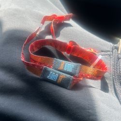 2 Stagecoach VIP For Sale $1000 OBO
