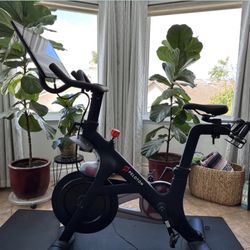 🚴‍♀️ FOR SALE: Peloton Bike + Mat + Weights + 2 Pairs of Shoes – Excellent Condition! 🚴‍♂️