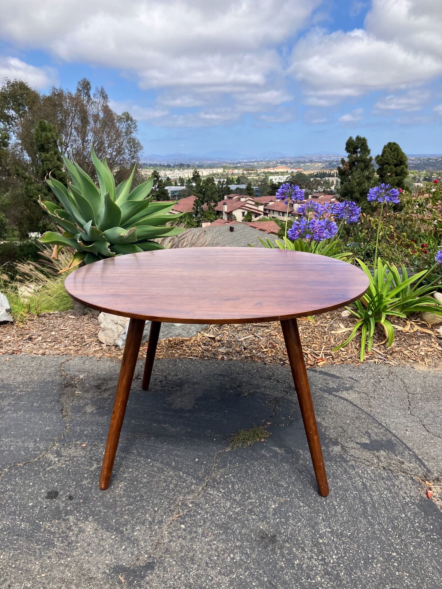 Mid-Century Wood Table