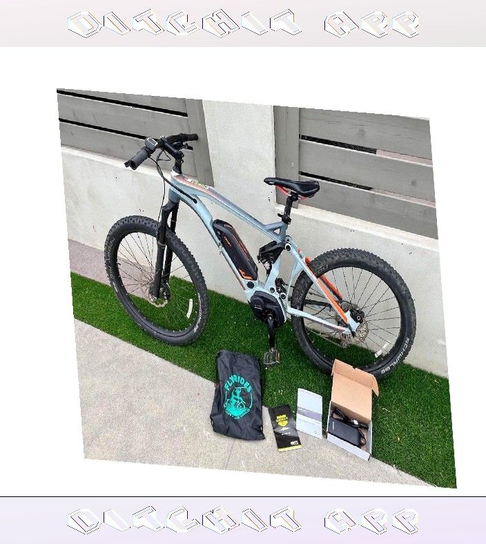 painting choice Smart E Bike Environment Friendly Travel Solution