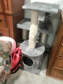 cat tree in great condition