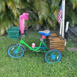 Bike Custom 3 Wheeler