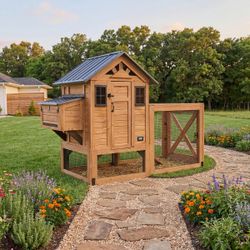 Chicken Coop NEW
