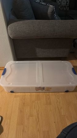 Bed Storage container