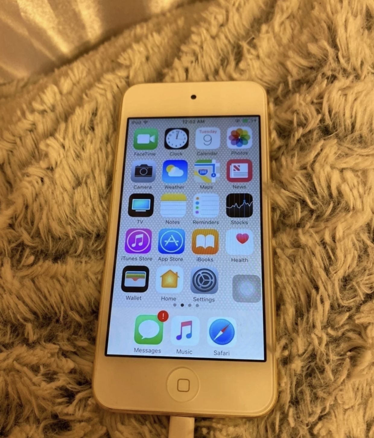 Apple iPod
