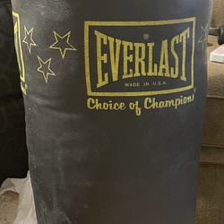 Everlast Pinching Bag 