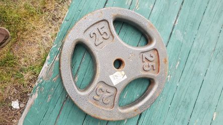 One 25 pound Standard Grip Weight