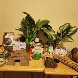 Terrarium Supplies