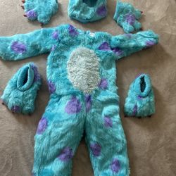 Sulley Halloween Costume