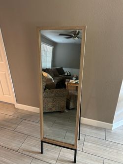 20in x 66in Mirror