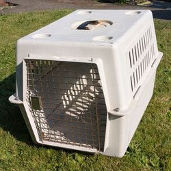 Medium Sized Dog Kennel