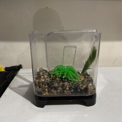 Fish Tank 