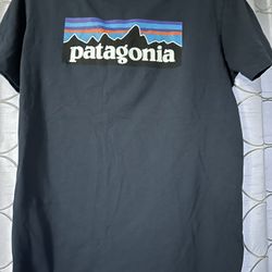 Patagonia Shirt 