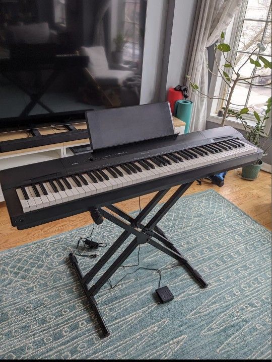 Casio Px160 88 Key Weighed Keyboard+ Stand + More