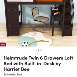 Twin Size Loft Bed