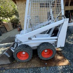 Bobcat