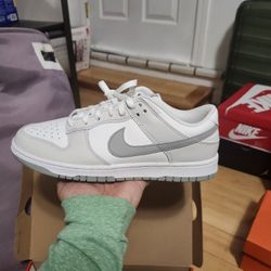 Nike Dunks Cloud