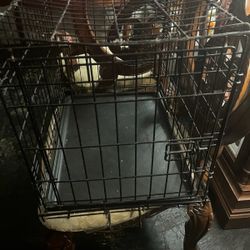 Dog Crate 