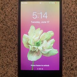 iPhone 5s