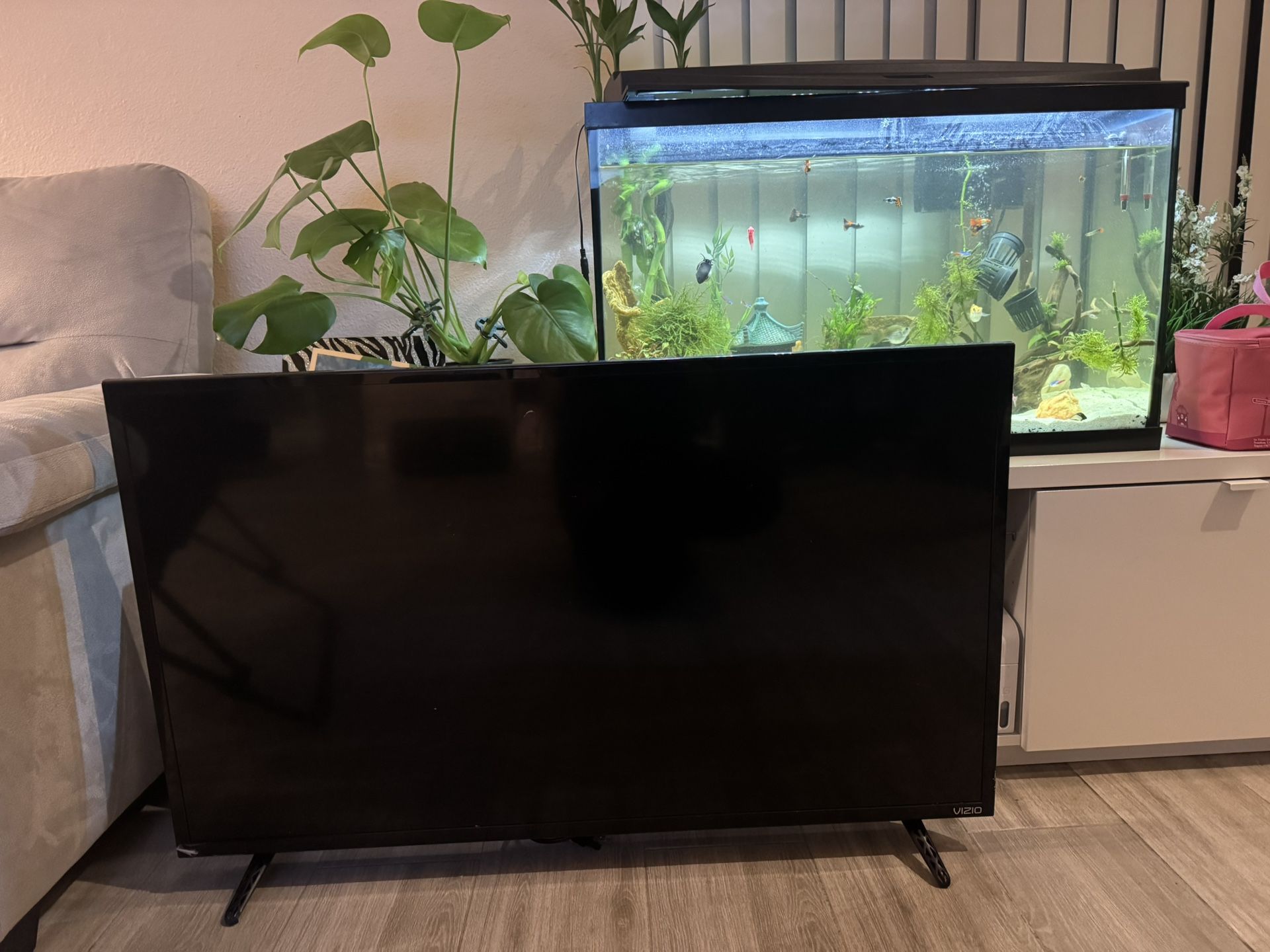 TV / Vizio
