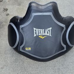 C3 Pro Protective Vest