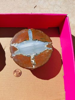Polished Thunderegg