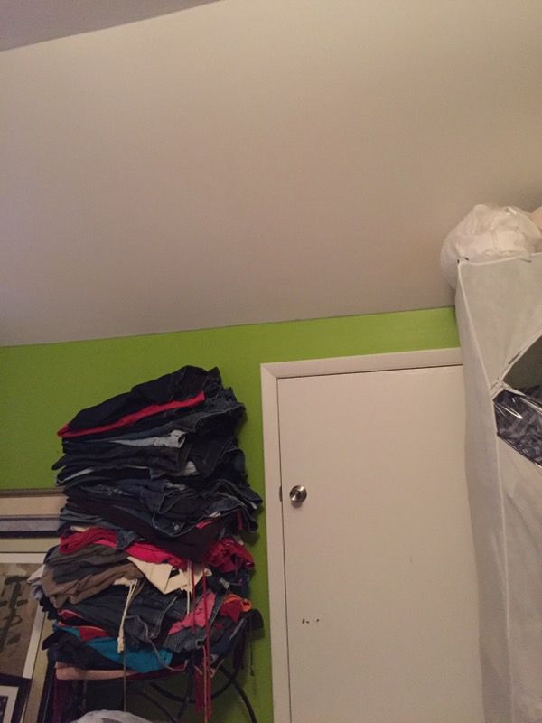 Plus size designer jeans and velour jogging pants all like new 4 pairs 10.00 smoke bug and pet free