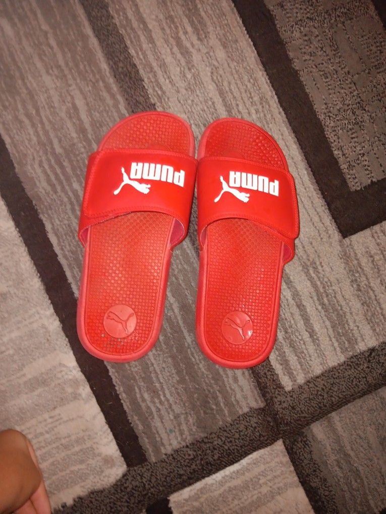Puma Slides