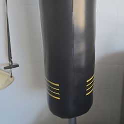 Punching Bag 