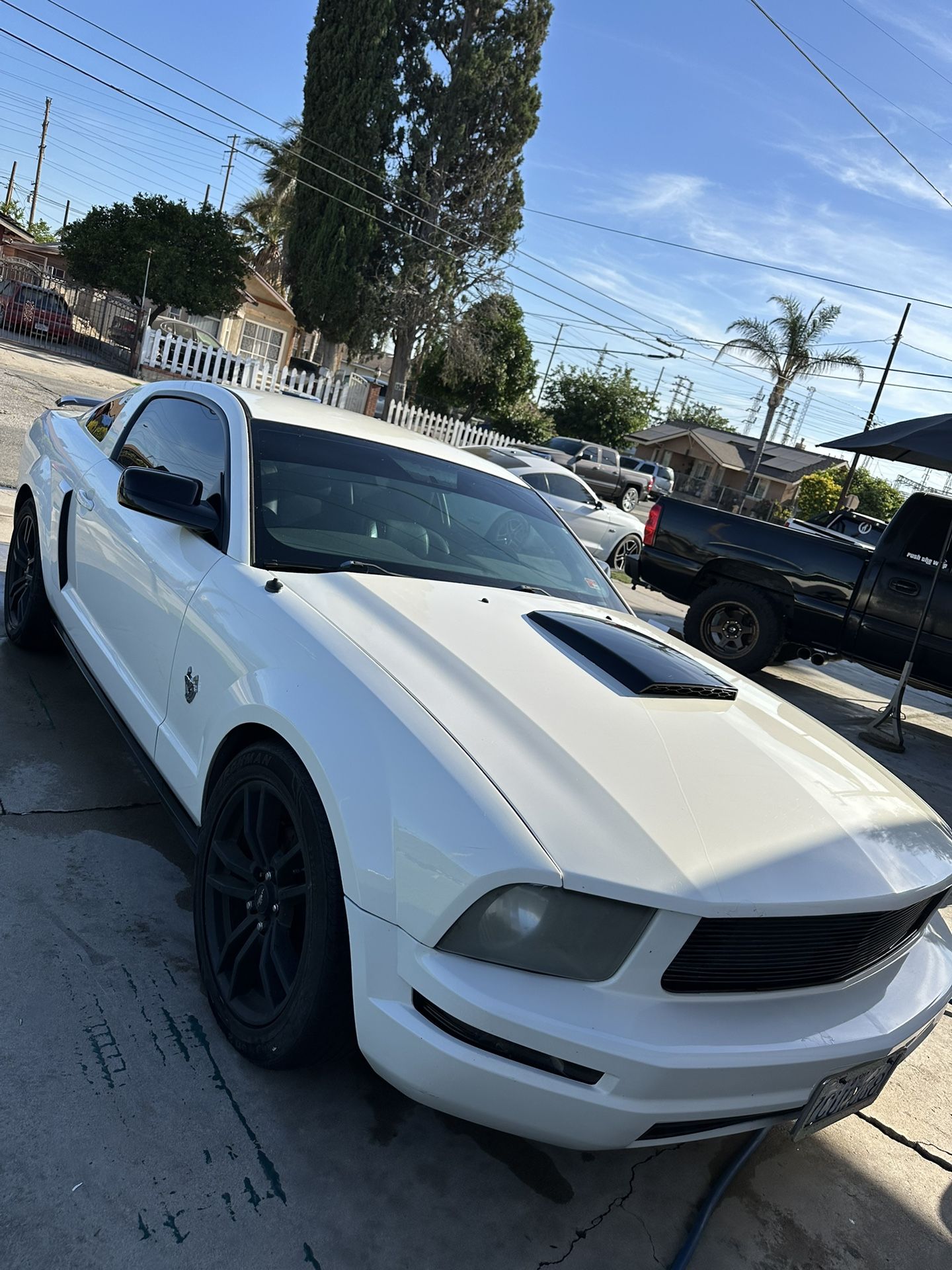 2009 Ford Mustang