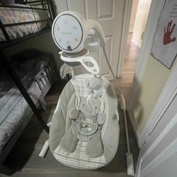 Elephant babies swing