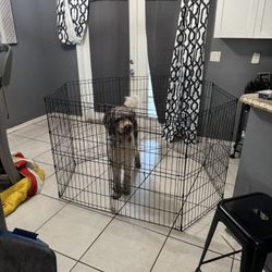Large Dog Cage And Fence 