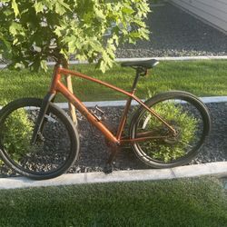 Trek DS 3.      Large 