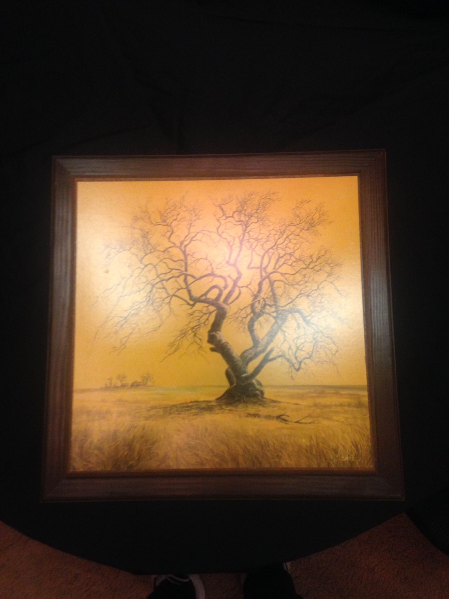 Gare Barks Tree of Life
