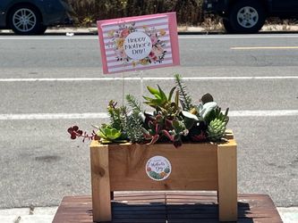 Mother's Day Succulent Wood Planter Box