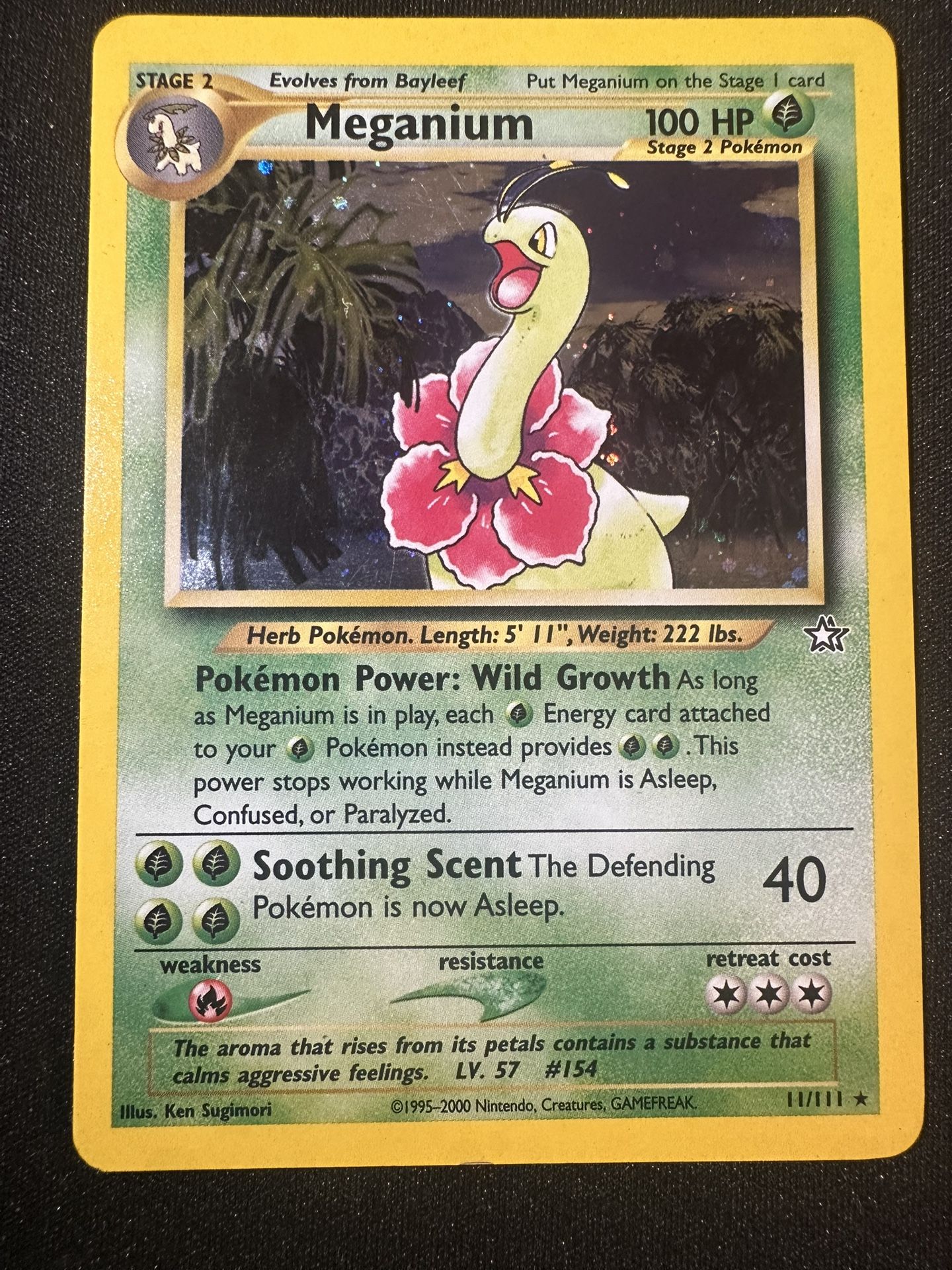 Pokémon To Show Only