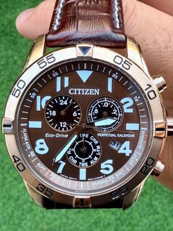 Citizen Eco-Drive Perpetual Calendar Chronograph — Caliber E820 (E820-s139428)