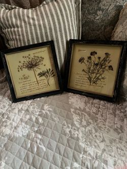 Set of two botonical prints