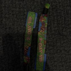 Beyond Wonderland wristband