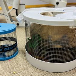 Hermit Crab cages and supplies
