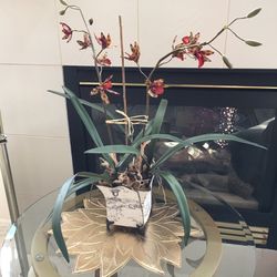 Artificial Orchid Arrangement