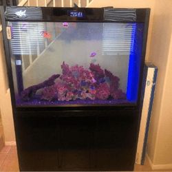 friend capital Large Full-Sized Fish Tank – A Beautiful Centerpiece for Your Home