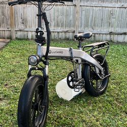 Luckeep Fat Tire E-bike