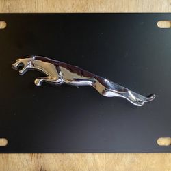 License Plate Accessory 